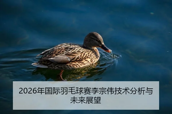 2026年国际羽毛球赛李宗伟技术分析与未来展望